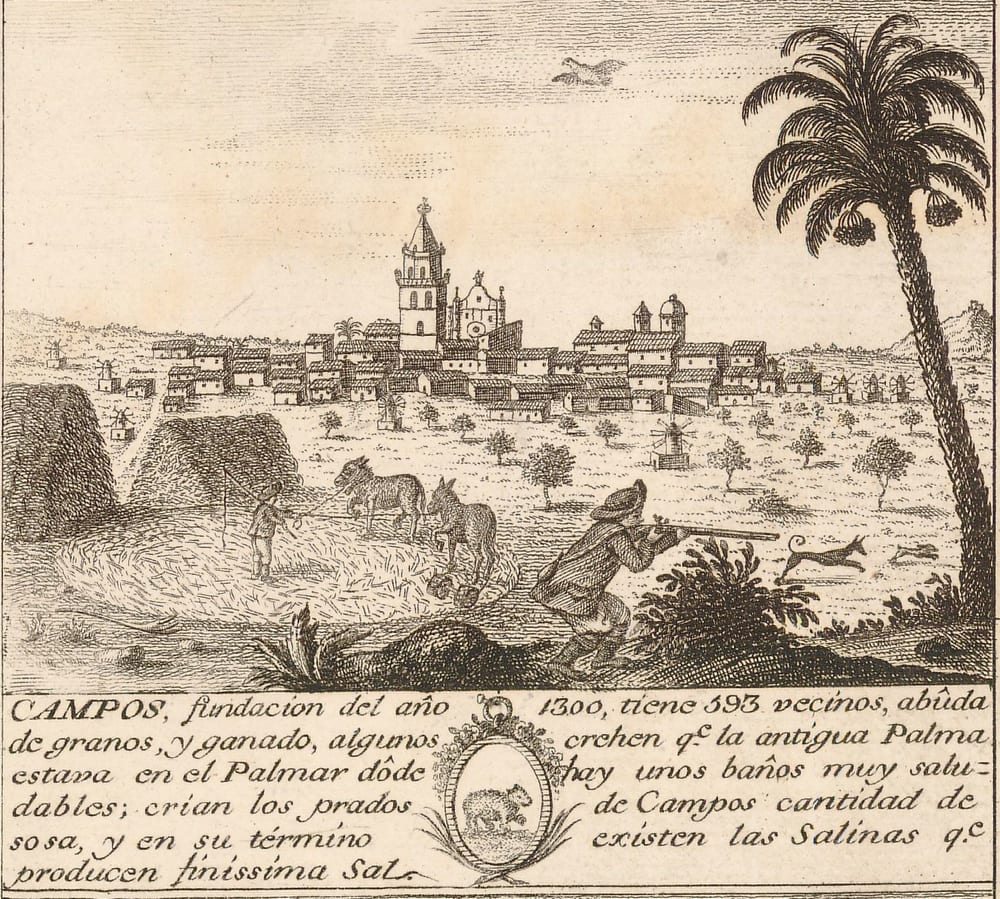 Vista gravada de Campos